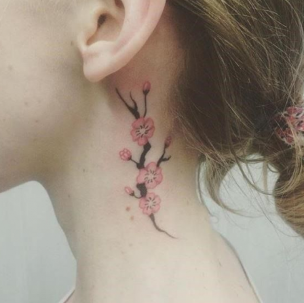 Gambar pohon sakura yang indah